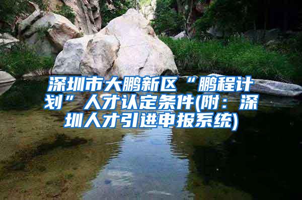 深圳市大鹏新区“鹏程计划”人才认定条件(附：深圳人才引进申报系统)