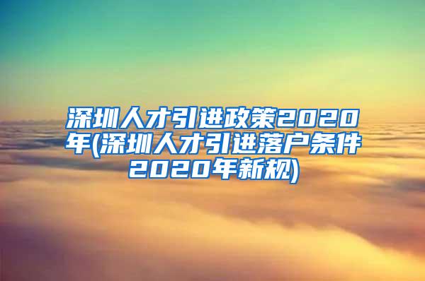 深圳人才引进政策2020年(深圳人才引进落户条件2020年新规)