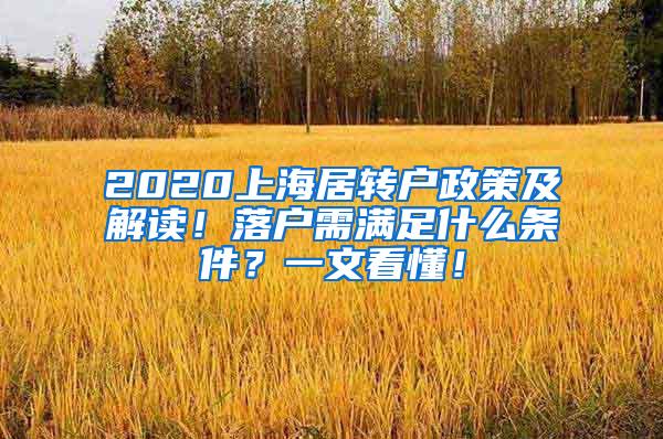 2020上海居转户政策及解读！落户需满足什么条件？一文看懂！