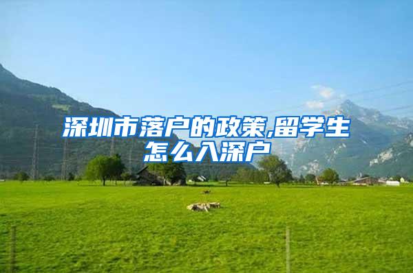 深圳市落户的政策,留学生怎么入深户