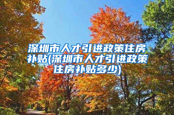 深圳市人才引进政策住房补贴(深圳市人才引进政策住房补贴多少)