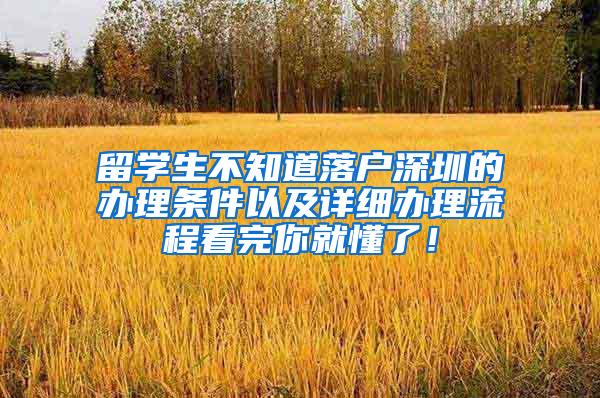 留学生不知道落户深圳的办理条件以及详细办理流程看完你就懂了！