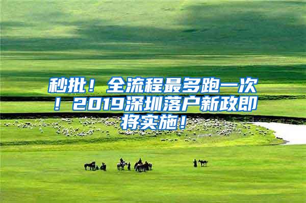 秒批！全流程最多跑一次！2019深圳落户新政即将实施！