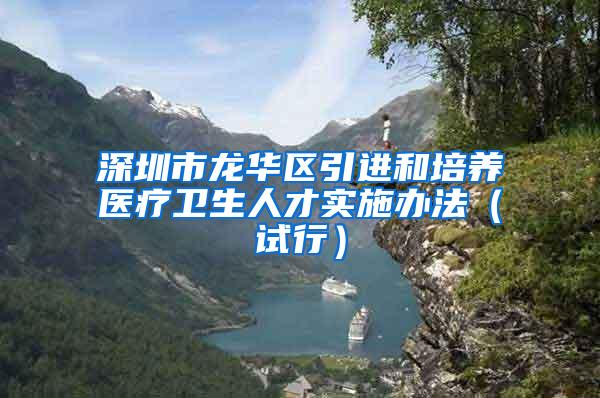 深圳市龙华区引进和培养医疗卫生人才实施办法（试行）