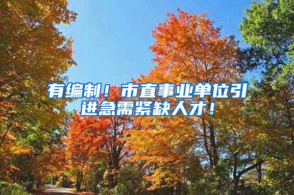 有编制！市直事业单位引进急需紧缺人才！