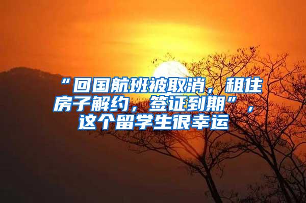 “回国航班被取消，租住房子解约，签证到期”，这个留学生很幸运