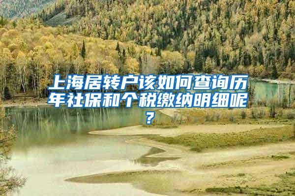 上海居转户该如何查询历年社保和个税缴纳明细呢？