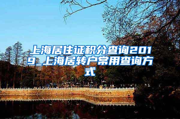 上海居住证积分查询2019_上海居转户常用查询方式