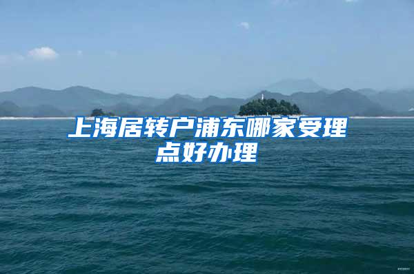 上海居转户浦东哪家受理点好办理