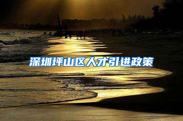深圳坪山区人才引进政策