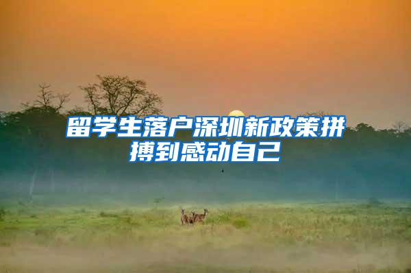 留学生落户深圳新政策拼搏到感动自己