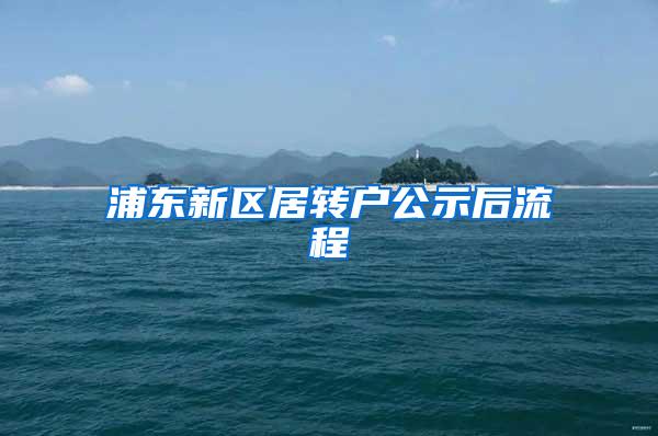 浦东新区居转户公示后流程