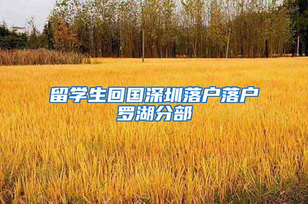 留学生回国深圳落户落户罗湖分部