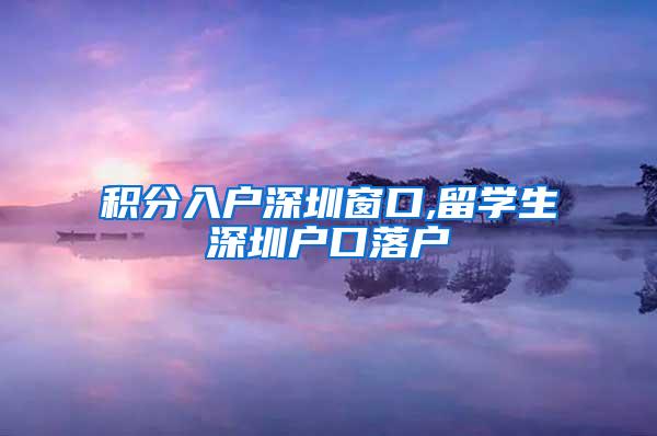 积分入户深圳窗口,留学生深圳户口落户