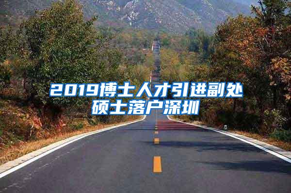 2019博士人才引进副处硕士落户深圳