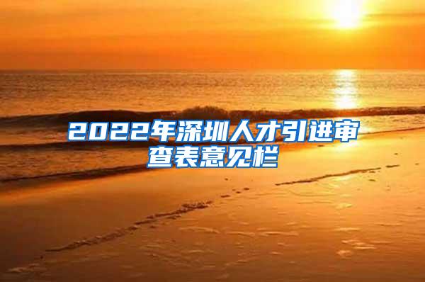 2022年深圳人才引进审查表意见栏
