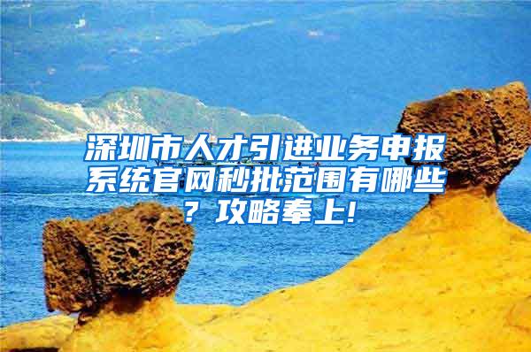 深圳市人才引进业务申报系统官网秒批范围有哪些？攻略奉上!