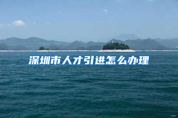 深圳市人才引进怎么办理