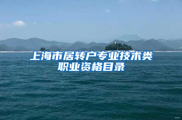 上海市居转户专业技术类职业资格目录