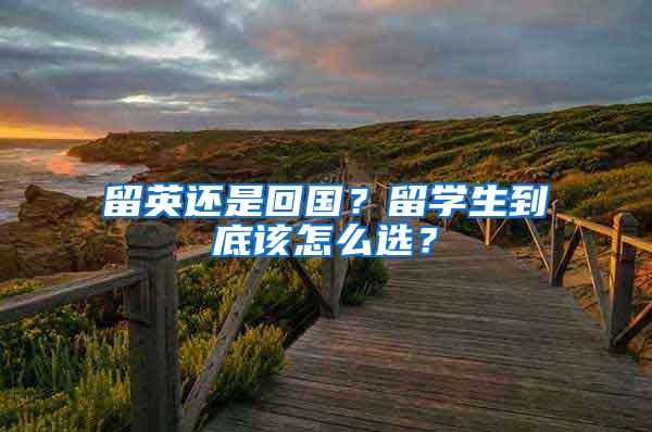 留英还是回国？留学生到底该怎么选？