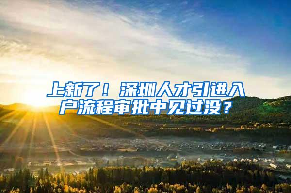 上新了！深圳人才引进入户流程审批中见过没？