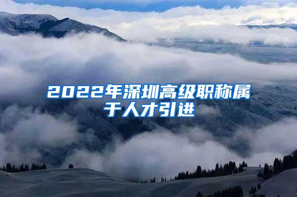 2022年深圳高级职称属于人才引进
