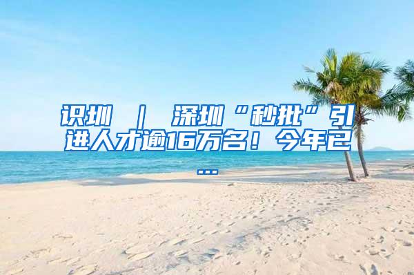 识圳 ｜ 深圳“秒批”引进人才逾16万名！今年已...