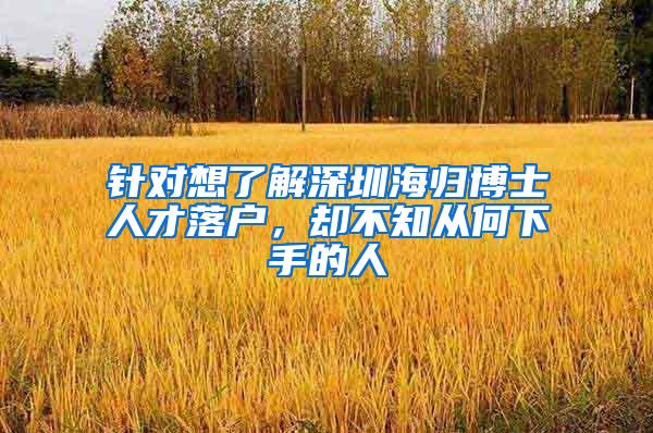 针对想了解深圳海归博士人才落户，却不知从何下手的人