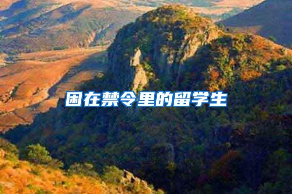 困在禁令里的留学生