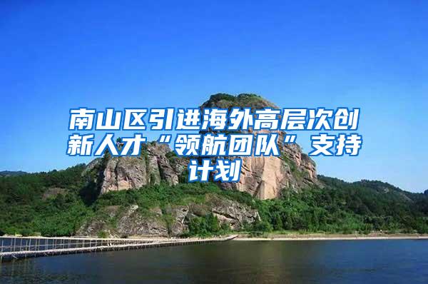 南山区引进海外高层次创新人才“领航团队”支持计划