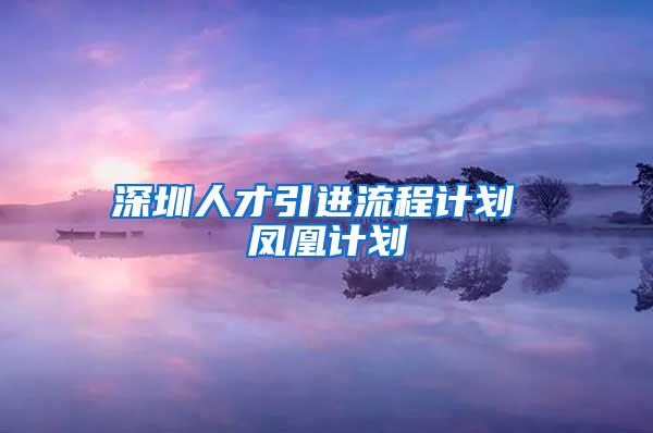 深圳人才引进流程计划 凤凰计划