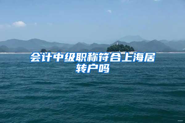会计中级职称符合上海居转户吗