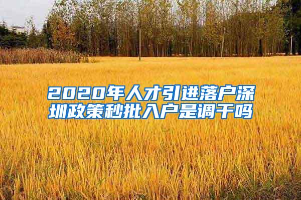 2020年人才引进落户深圳政策秒批入户是调干吗