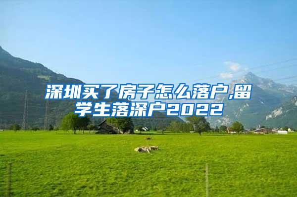 深圳买了房子怎么落户,留学生落深户2022