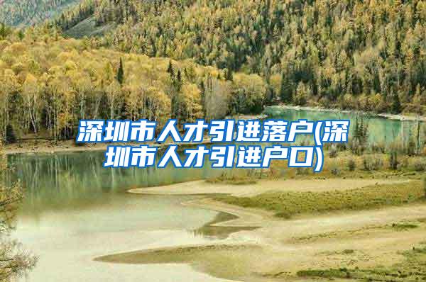 深圳市人才引进落户(深圳市人才引进户口)