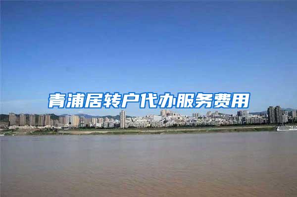 青浦居转户代办服务费用
