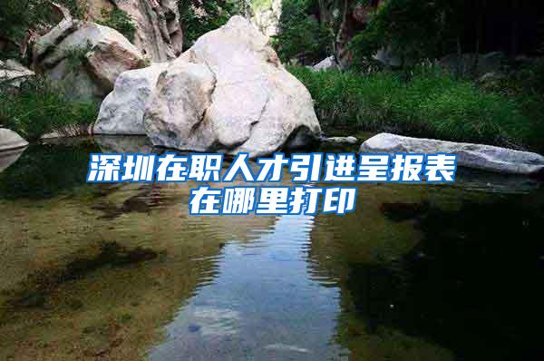 深圳在职人才引进呈报表在哪里打印