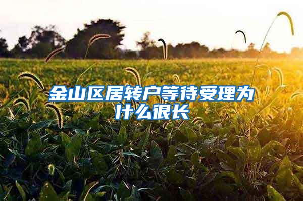 金山区居转户等待受理为什么很长