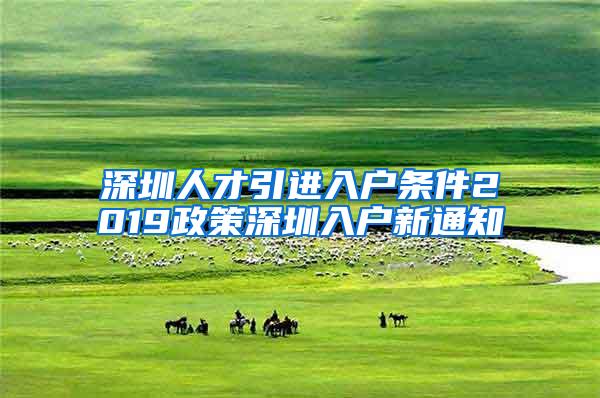 深圳人才引进入户条件2019政策深圳入户新通知