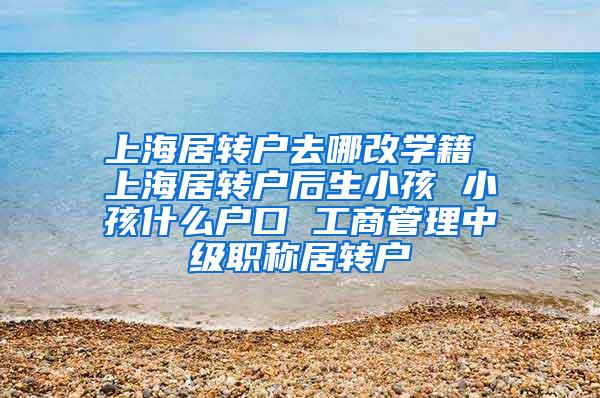 上海居转户去哪改学籍 上海居转户后生小孩 小孩什么户口 工商管理中级职称居转户