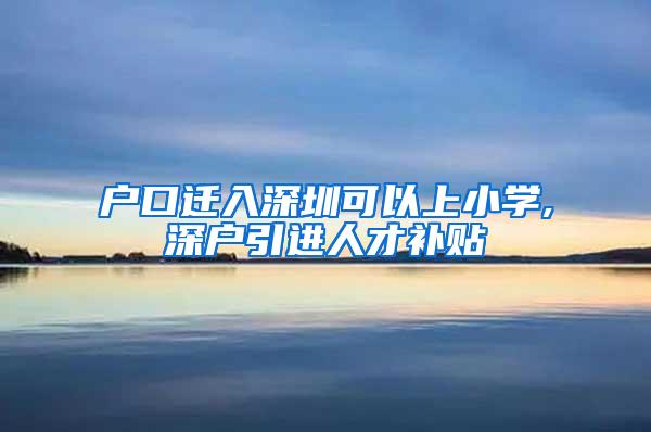 户口迁入深圳可以上小学,深户引进人才补贴
