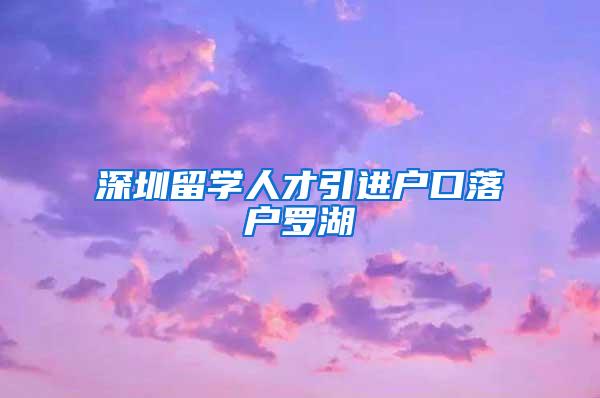 深圳留学人才引进户口落户罗湖