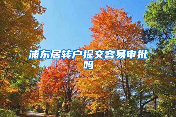 浦东居转户提交容易审批吗