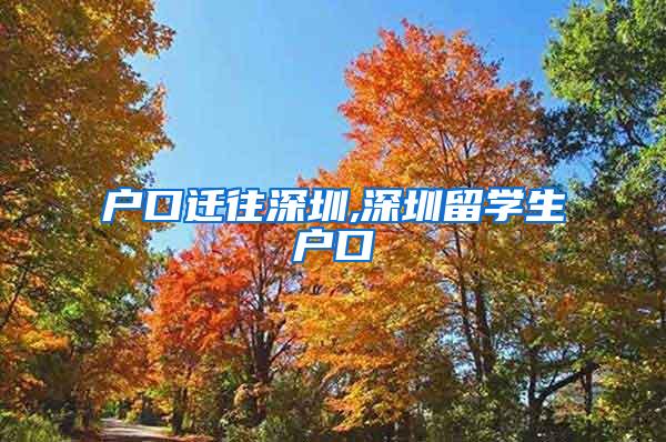 户口迁往深圳,深圳留学生户口