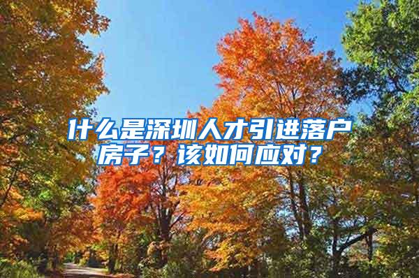 什么是深圳人才引进落户房子？该如何应对？
