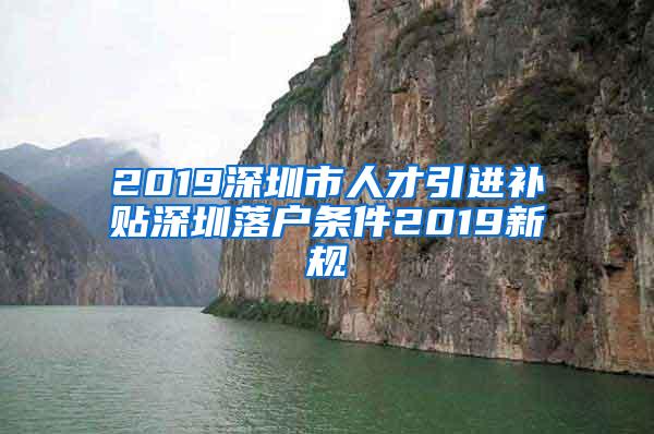 2019深圳市人才引进补贴深圳落户条件2019新规