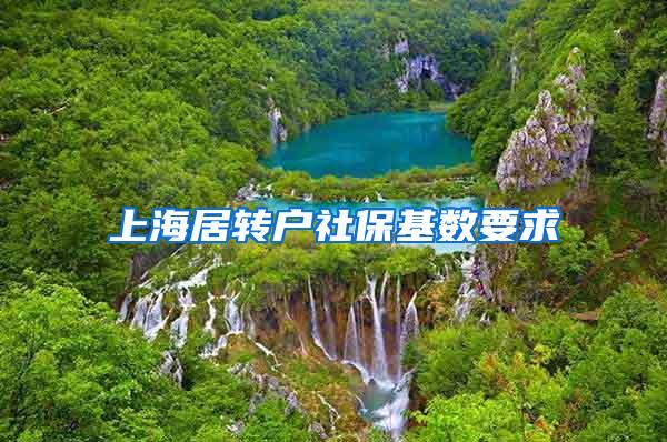 上海居转户社保基数要求