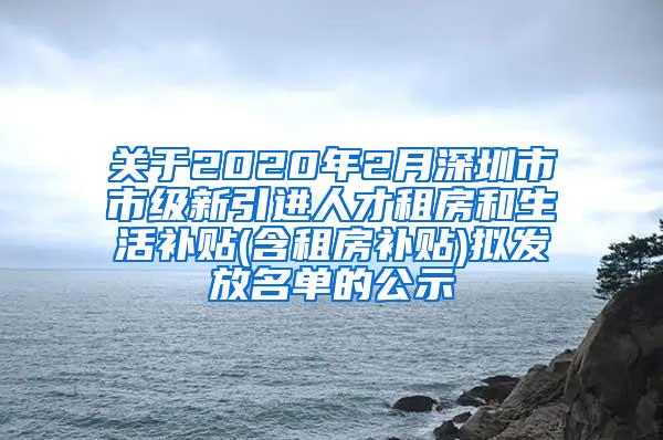 关于2020年2月深圳市市级新引进人才租房和生活补贴(含租房补贴)拟发放名单的公示