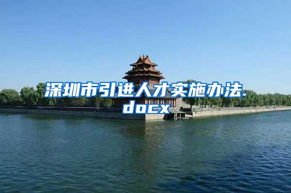深圳市引进人才实施办法.docx