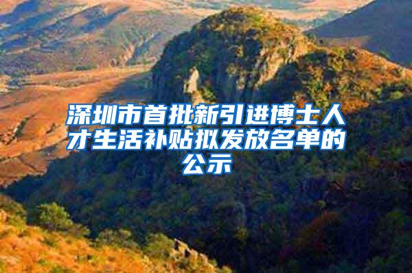 深圳市首批新引进博士人才生活补贴拟发放名单的公示